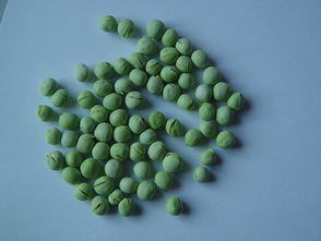 凍干豌豆 自然營養(yǎng)的定格，北綠凍干食品有限公司為您呈現(xiàn)
